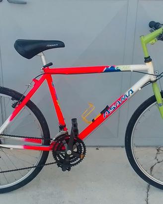 Bici Asama