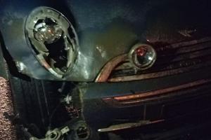 Mini  incidentata