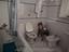 Immagine 10