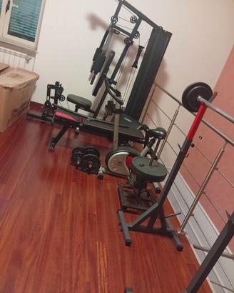 palestra 
