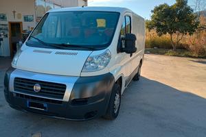ducato 