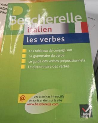 LIBRO VERBI ITALIANO