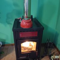 Stufa a legna e pellet