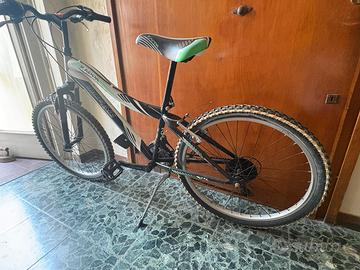 Bicicletta ragazzo