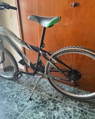 Bicicletta ragazzo