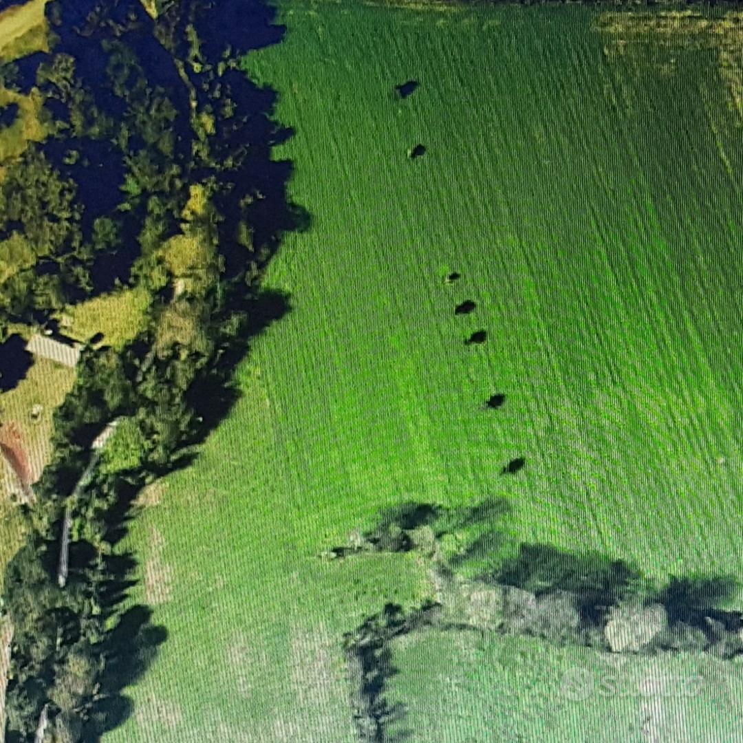 Terreno agricolo - Vista 2