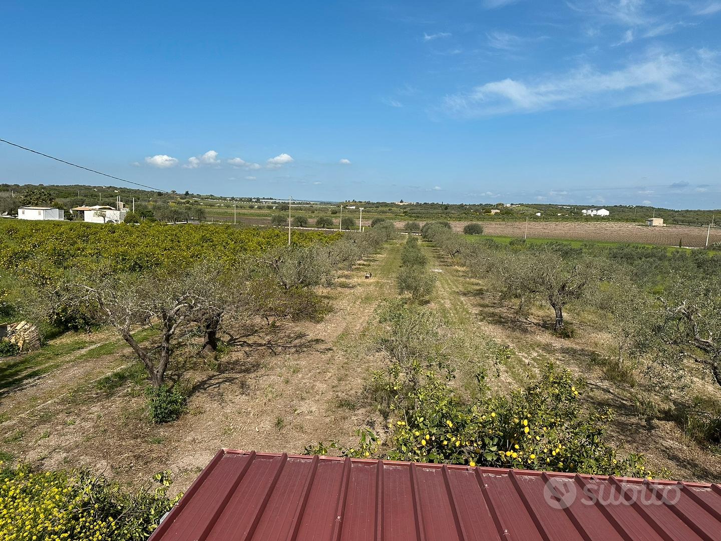 Terreno di 2 ettari con casa da 60mq - Vista 4