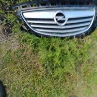 mascherina davanti Opel insigne anno 2011