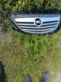 mascherina davanti Opel insigne anno 2011