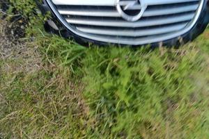 mascherina davanti Opel insigne anno 2011