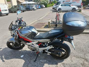 Moto Suzuki gladius 650 del 2014