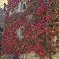 Appartamento con ingresso indipendente - Pietra...