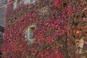 Appartamento con ingresso indipendente - Pietra...