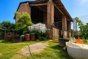 RUSTICO A MONTODINE