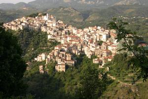 Terreno agricolo a Rivello (Filoto)