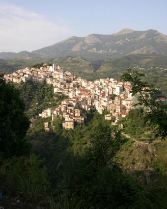 Terreno agricolo a Rivello (Filoto)
