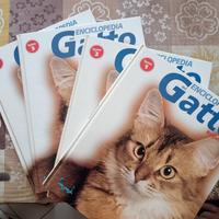 enciclopedia del gatto 