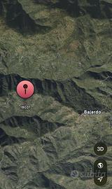 Uliveto con piccola casetta a bajardo