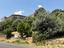 Immagine 11