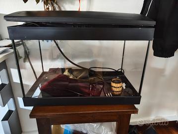 Acquario 30L + Accessori