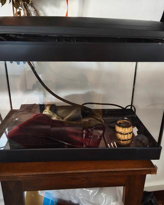 Acquario 30L + Accessori