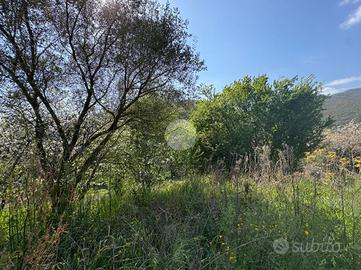 TER. AGRICOLO A GUSSAGO