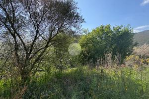 TER. AGRICOLO A GUSSAGO