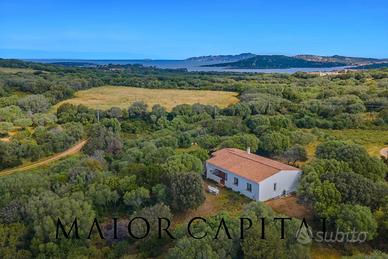 Palau | Porto Pollo | Meravigliosa villa immersa n