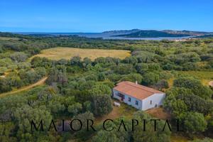 Palau | Porto Pollo | Meravigliosa villa immersa n