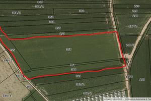 Terreno agricolo pianeggiante di 9.000 mq irriguo