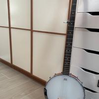 Banjo Epiphone MB-100