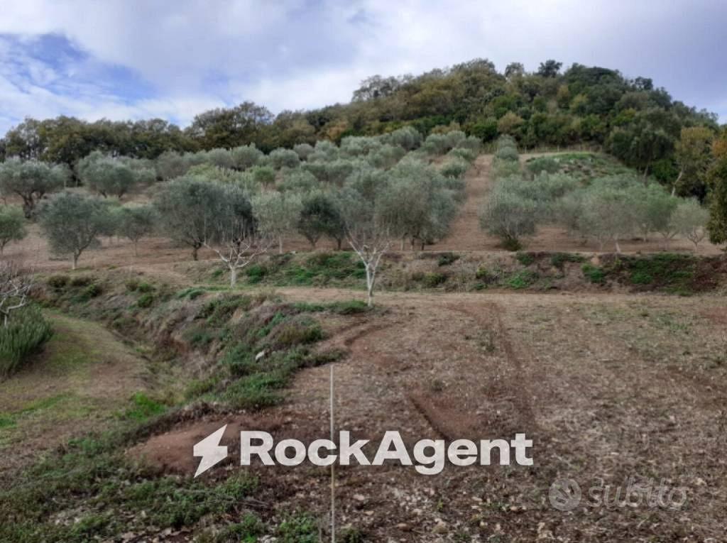 Terreno di 23500 m² a Marcellinara - Vista 3