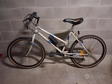 Mountain Bike diametro 24 
