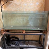 Acquario con mobile