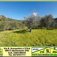 Terreno 1500 mq ad uso deposito, tutto recintato