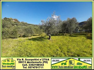 Terreno 1500 mq ad uso deposito, tutto recintato