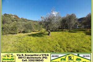 Terreno 1500 mq ad uso deposito, tutto recintato