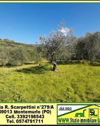 Terreno 1500 mq ad uso deposito, tutto recintato