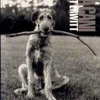 Elliott Erwitt: Vita da cani. Difficile da trovare