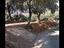 Immagine 12
