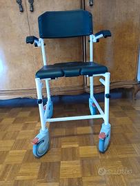 Carrozzina disabili