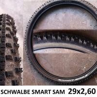 Coppia Pneumatici SCHWALBE SMART SAM  29x2,60