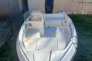 Mercury 135cv optimax