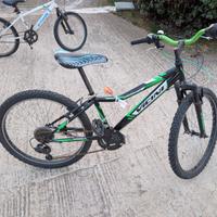 Mountain bike VICINI 24 verde nera