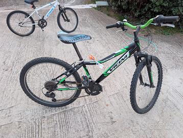Mountain bike VICINI 24 verde nera