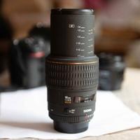 Nikon Sigma 105 EX macro f2,8 rapporto 1:1