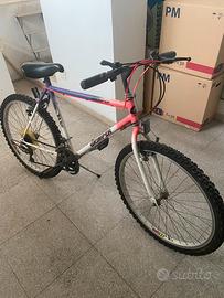 Mountain Bike "Grimper"