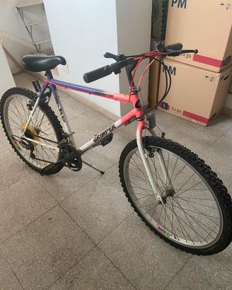Mountain Bike "Grimper"