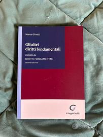 Gli altri diritti fondamentali