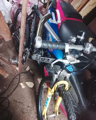 MTB Olympia